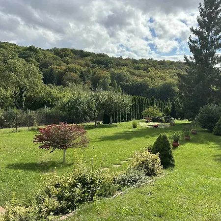 Hébergement de vacances Dom Pri Vezi *